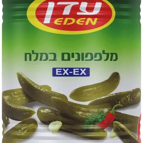 fa9e86d